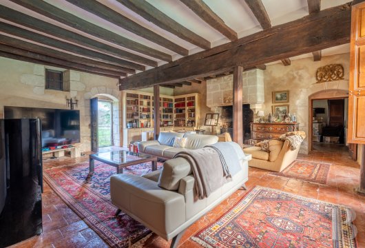 chateaux for sale France center val de loire   - 5