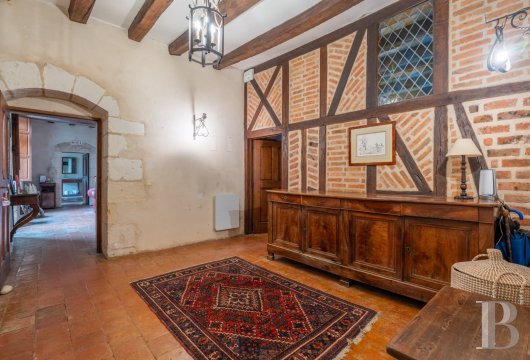 chateaux for sale France center val de loire   - 9