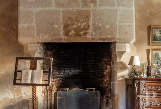 chateaux for sale France center val de loire   - 10