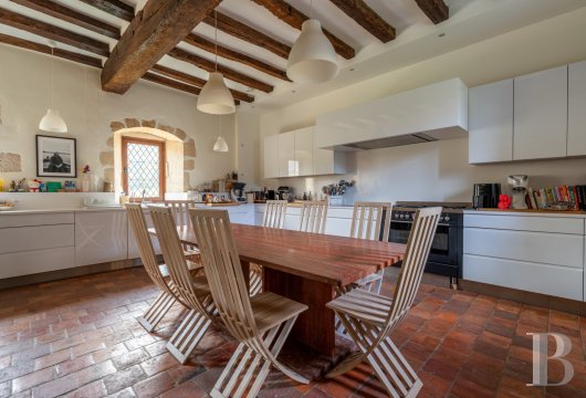 chateaux for sale France center val de loire   - 11
