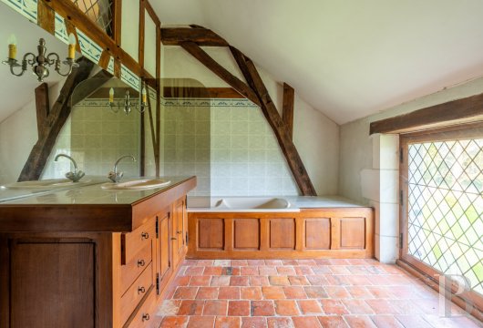 chateaux for sale France center val de loire   - 15