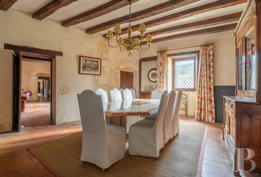 chateaux for sale France center val de loire   - 7