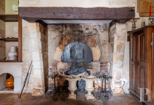 chateaux for sale France center val de loire   - 8