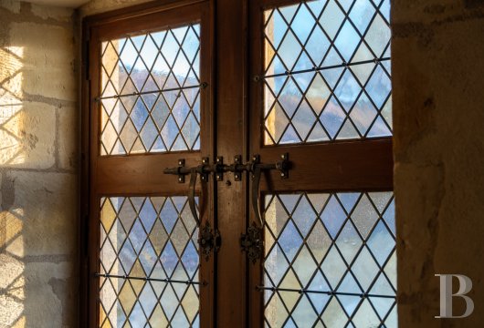 chateaux for sale France center val de loire   - 13