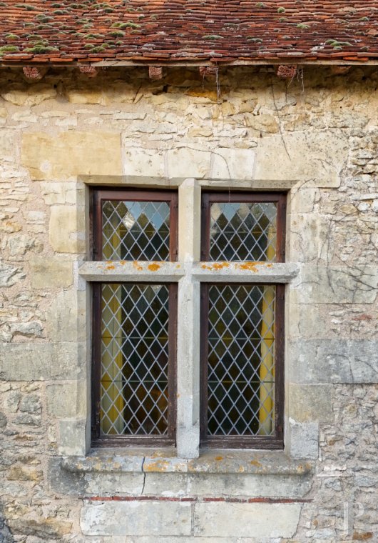 chateaux for sale France center val de loire   - 4