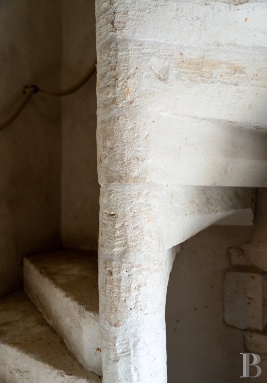 chateaux for sale France center val de loire   - 12