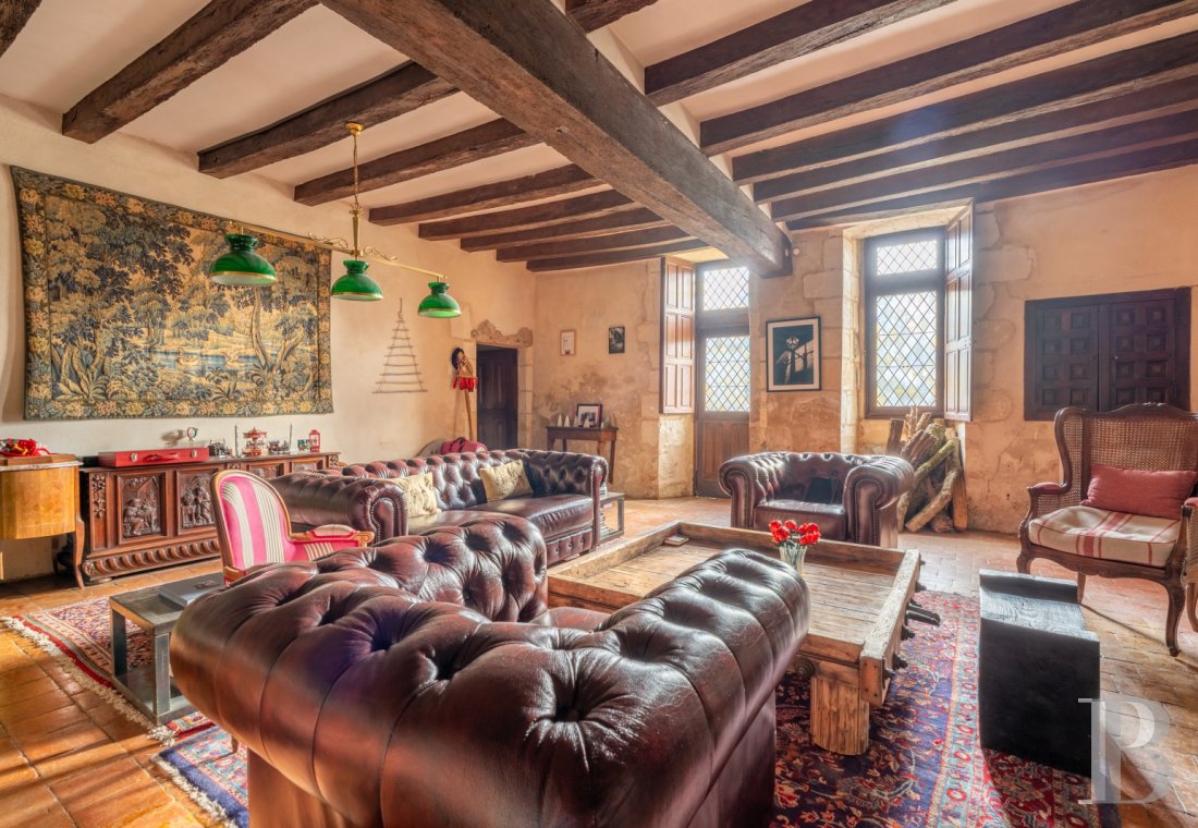 chateaux for sale France center val de loire   - 6