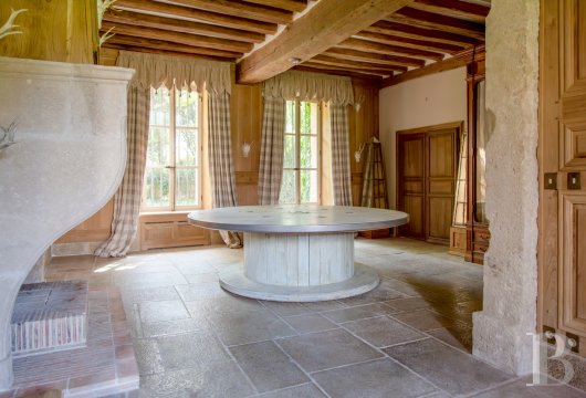France mansions for sale center val de loire   - 9