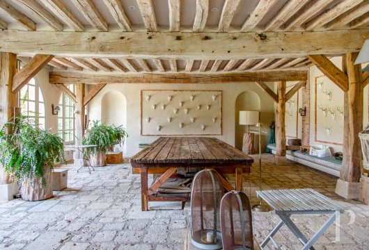 France mansions for sale center val de loire   - 13