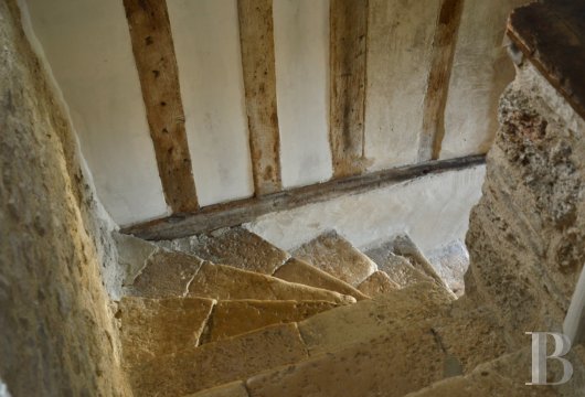 character properties France champagne ardennes   - 9