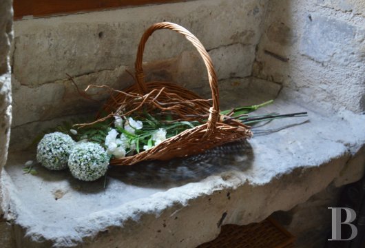 character properties France champagne ardennes   - 7