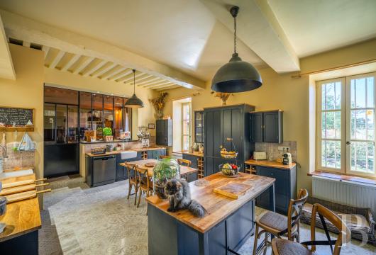 chateaux for sale France auvergne   - 8