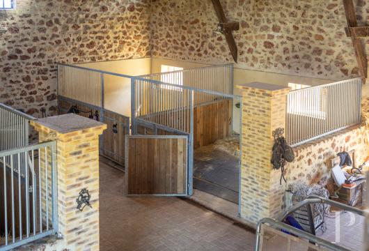 chateaux for sale France auvergne   - 12