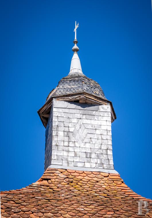 chateaux for sale France auvergne   - 5