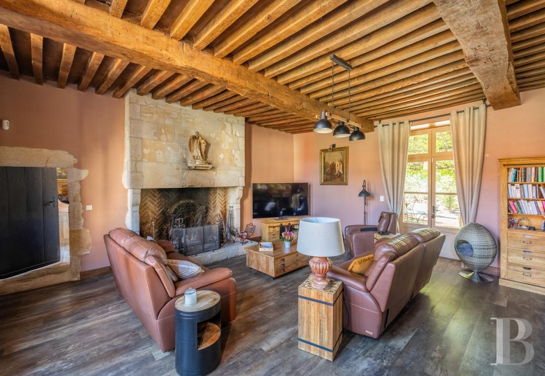 chateaux for sale France auvergne   - 6
