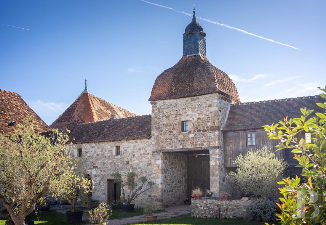 chateaux for sale France auvergne   - 3