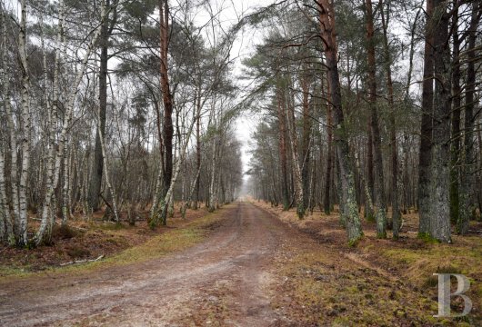 hunting grounds for sale France center val de loire   - 8