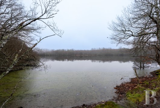 hunting grounds for sale France center val de loire   - 9