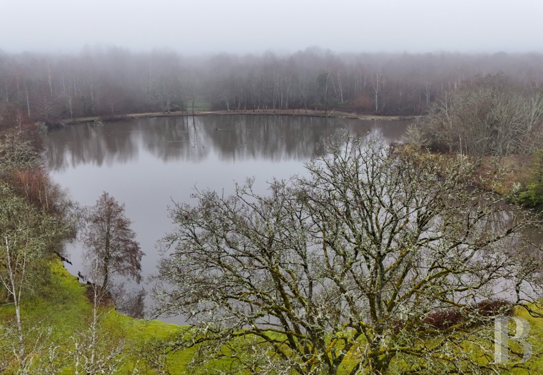 hunting grounds for sale France center val de loire   - 10