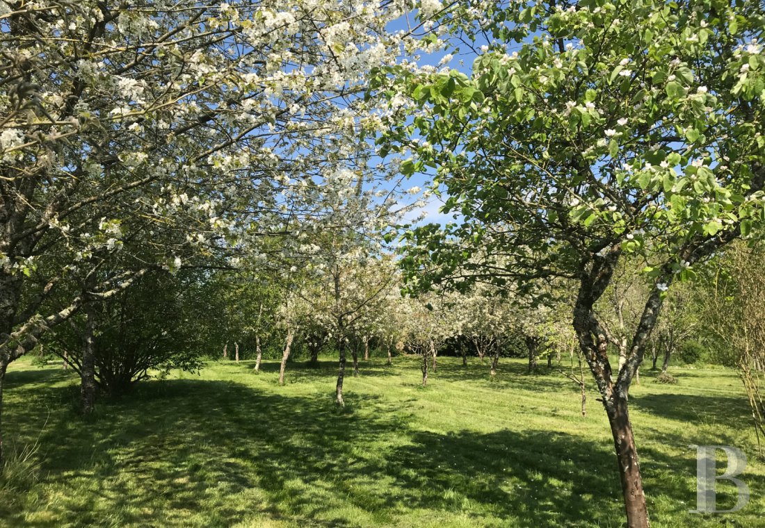 french farms for sale poitou charentes   - 10