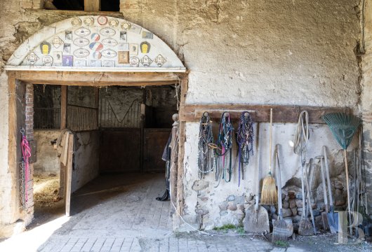 character properties France rhones alps   - 18