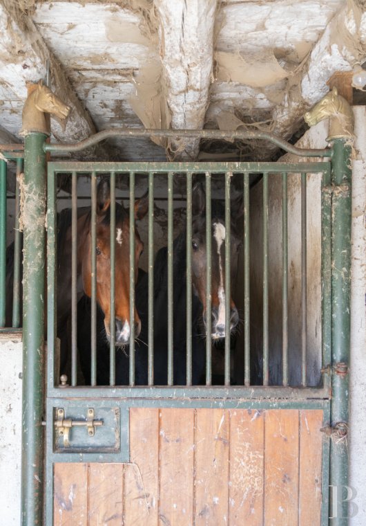 character properties France rhones alps   - 15