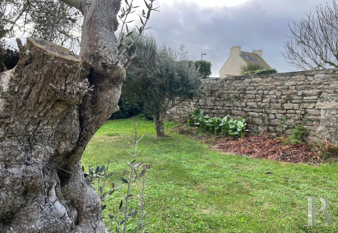 biens avec vue sur mer bretagne   - 9