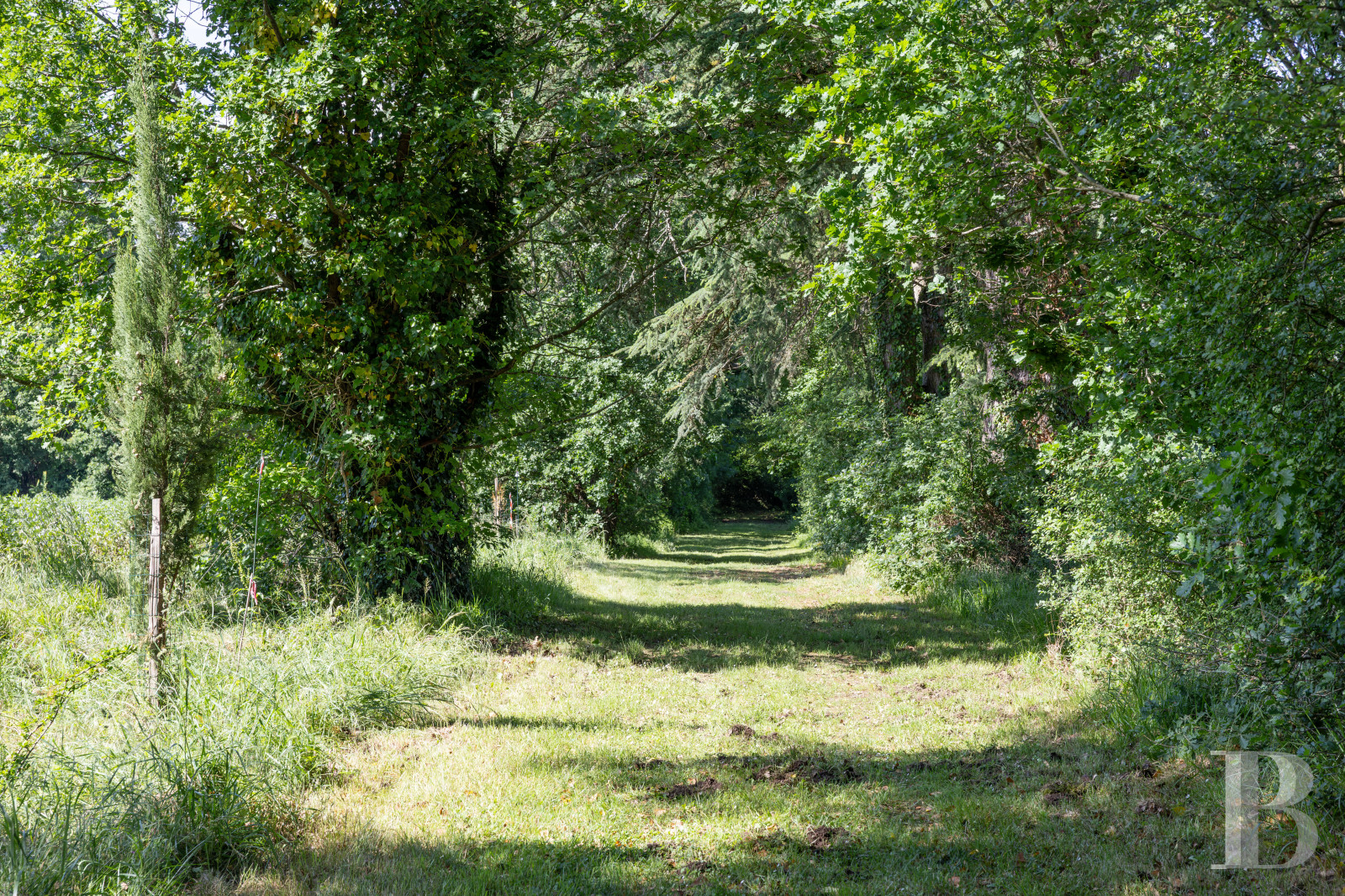 Dans le Lot-et-Garone, au sud d’Agen, un château de plaine des 13e, 16e et 19e siècles au milieu de son parc - photo  n°18