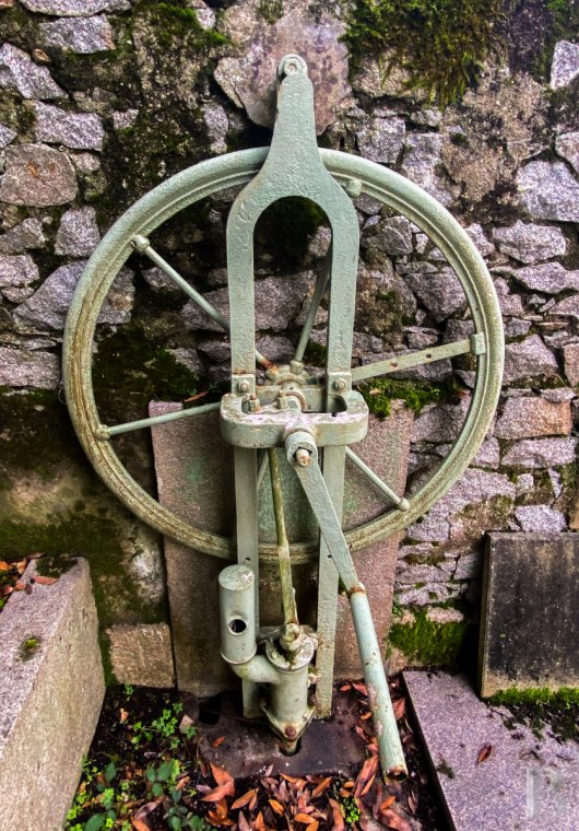 properties in town pays de loire   - 14