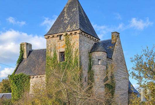 manoirs a vendre bretagne   - 7