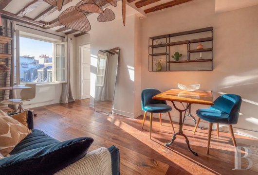 paris - Dans un hôtel du 17e s. sur les quais de l'île Saint-Louis,  un appartement rénové, plein sud, au surplomb des toits