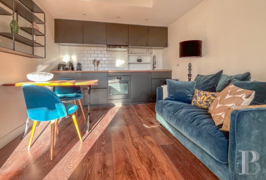 appartements a vendre paris   - 4