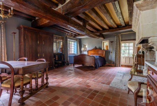 chateaux a vendre centre val de loire   - 14