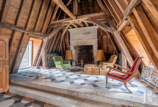 chateaux a vendre centre val de loire   - 12