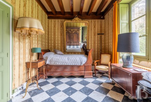 chateaux a vendre centre val de loire   - 6