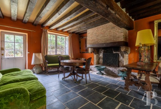 chateaux a vendre centre val de loire   - 13