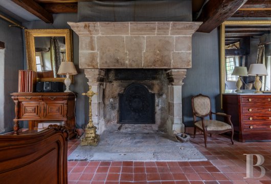 chateaux a vendre centre val de loire   - 15