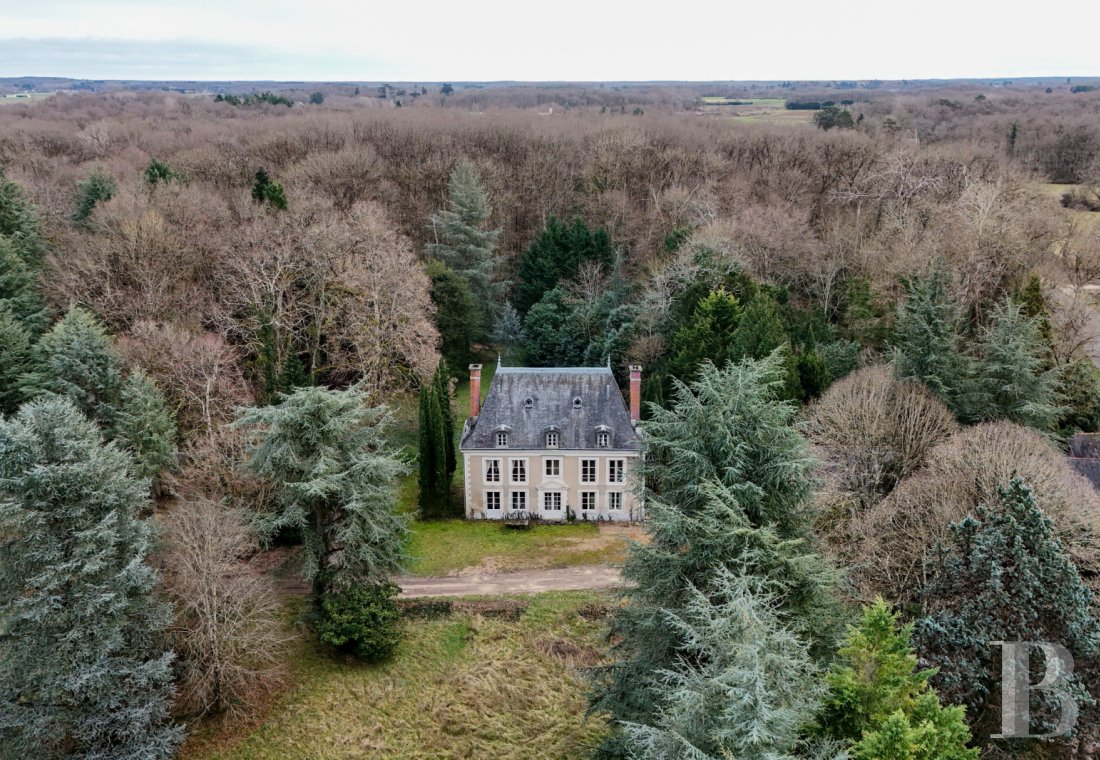 chateaux a vendre centre val de loire   - 2