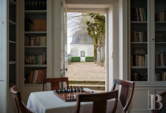 France mansions for sale center val de loire   - 8