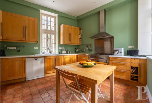 France mansions for sale center val de loire   - 13