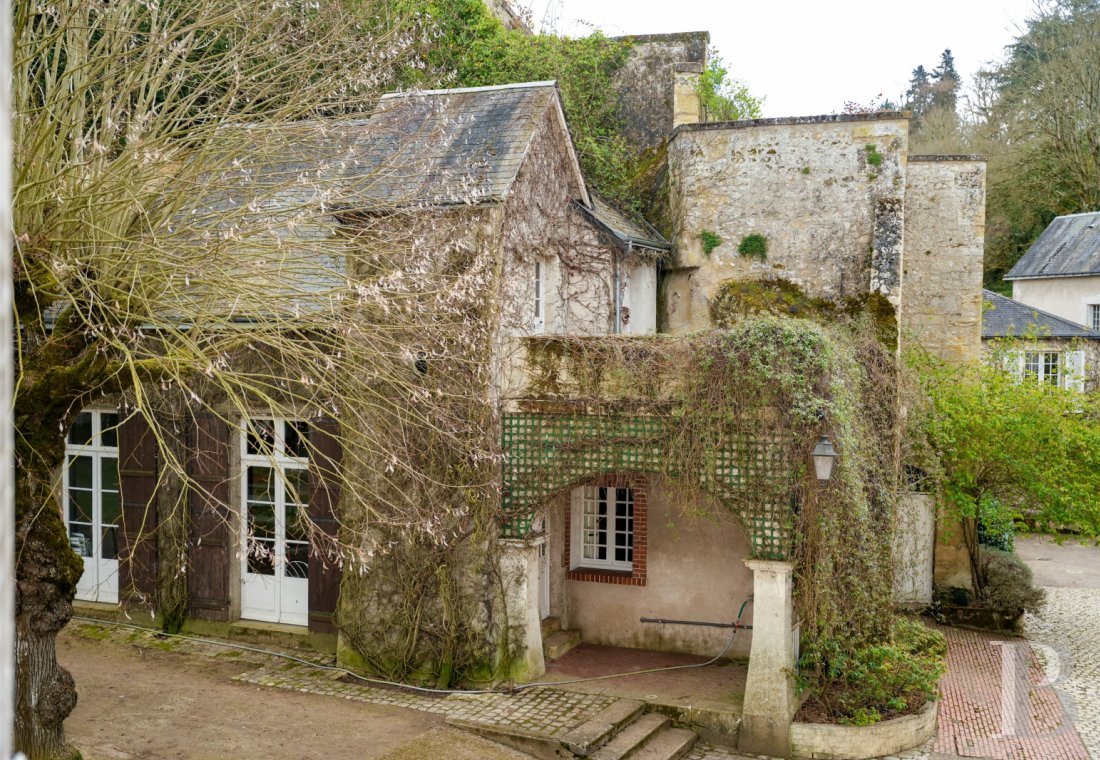 France mansions for sale center val de loire   - 19