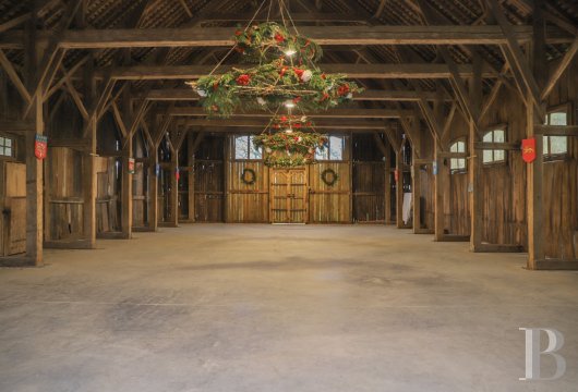 chateaux for sale France pays de loire   - 17