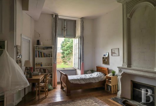 chateaux for sale France pays de loire   - 13