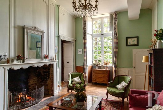 chateaux for sale France pays de loire   - 3