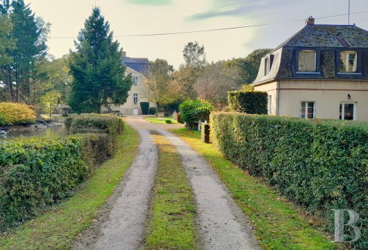 chateaux for sale France pays de loire   - 18