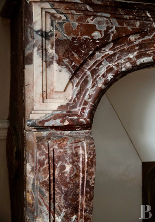 chateaux for sale France pays de loire   - 9