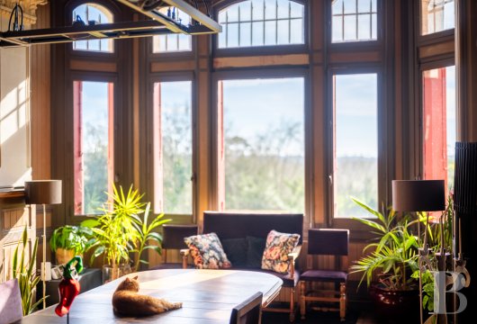 chateaux for sale France aquitaine   - 7