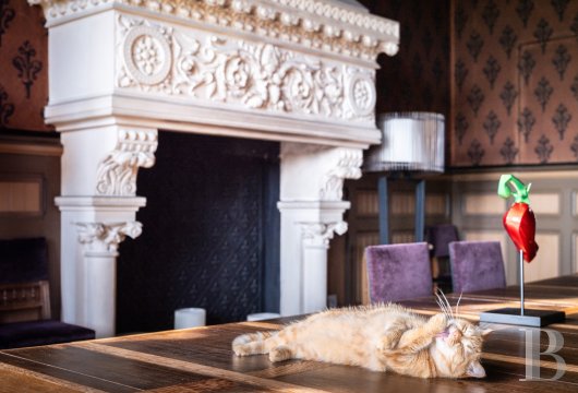 chateaux for sale France aquitaine   - 9