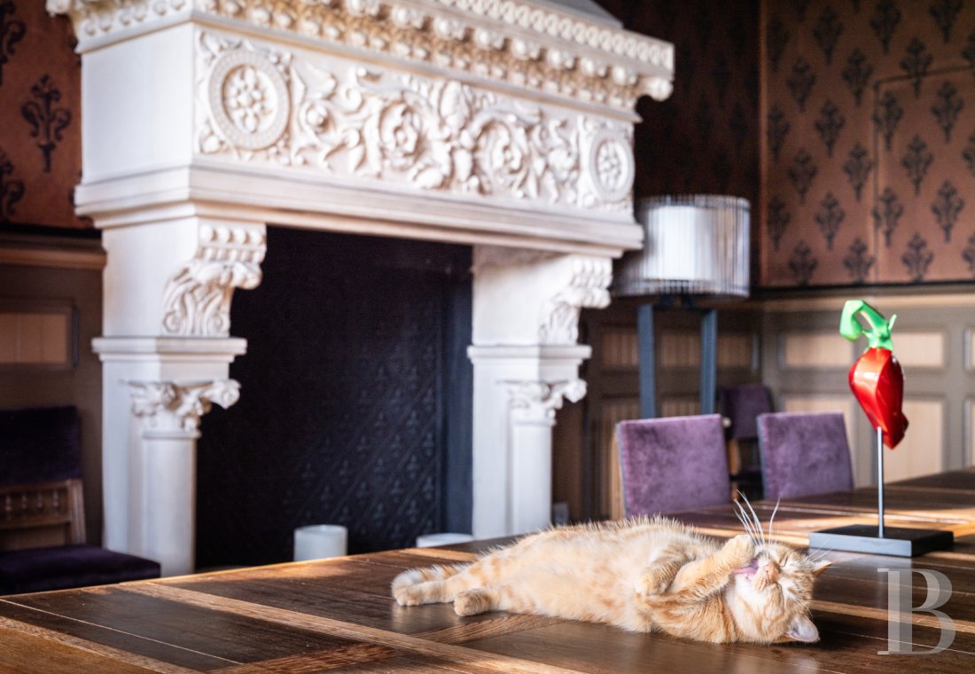 Château · Périgueux