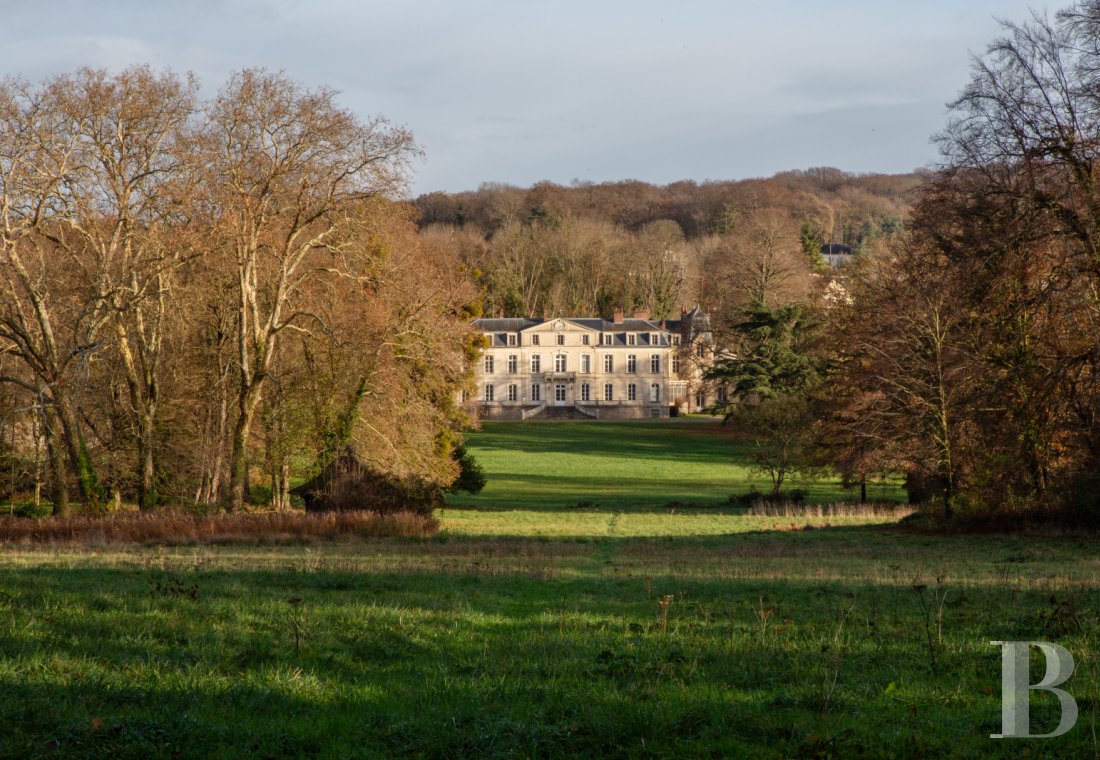 chateaux a vendre ile de france   - 1
